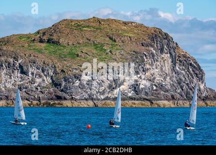 Canots de voile laser dans la course de voile par Craigleith Island à Firth of Forth le jour ensoleillé d'été, Écosse, Royaume-Uni Banque D'Images