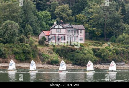 Crosshaven, Cork, Irlande. 10 août 2020. Cinq voiliers Optimist passent devant la maison en bois des années 1920 à Currabacinny, sur leur chemin pour une journée d'entraînement en préparation aux Championnats nationaux d'Optimist irlandais qui ont lieu cette semaine au Royal Cork Yacht Club à Crosshaven, Co. Cork, Irlande. - crédit; David Creedon / Alamy Live News Banque D'Images