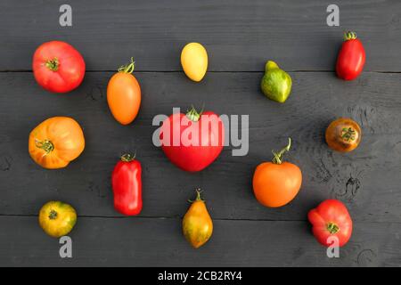Tomates à l'ancienne, différentes couleurs et variétés sur fond noir en bois. Banque D'Images