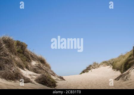 Paysage de plage déserté avec des dunes herbeuses sur le sable et des nuages dans le ciel bleu. Plage vide. Calme et paisible. Banque D'Images