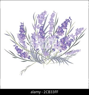 Bouquet de fleurs de lavande parfumées coupées fraîches et simple 2 des icônes réalistes définissent l'illustration vectorielle isolée Illustration de Vecteur