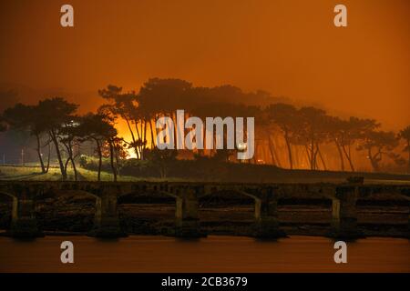 Arson de la forêt de Chiberta le 2020 juillet 30. L'arson a dévasté 165 hectares de forêt et brûlé 11 maisons au coeur d'Anglet. Feu de forêt. Blaze. Banque D'Images