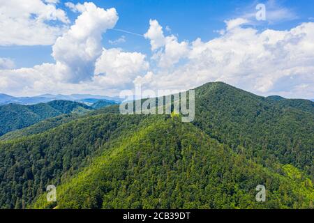 Vue aérienne sur la montagne verte, la forêt de pins, la rivière et le village. Carpathian, Ukraine. Banque D'Images