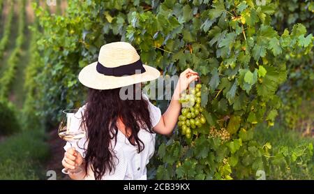 Fille dans un chapeau avec un verre de vin blanc dans le vignoble. Belle femme dans une vendange en italie. Concept de récolte, belle holi toscane. Photo de haute qualité. Copier l'espace Banque D'Images