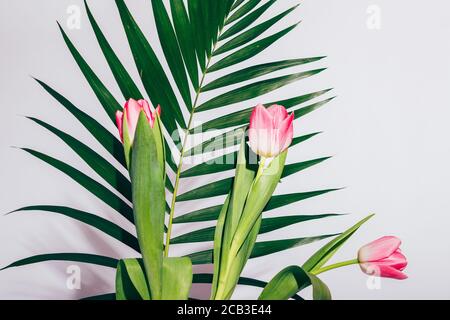 Bouquet de trois tulipes roses avec branche de palmier sur blanc arrière-plan de la paroi Banque D'Images