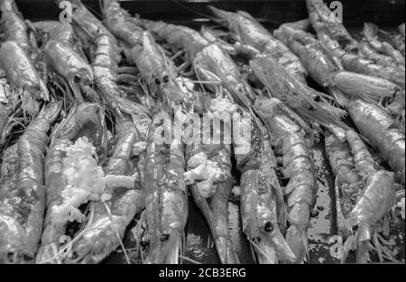 Un plateau de grosses crevettes géantes en noir et blanc et monochrome. Ils sont préparés dans du beurre à l'ail pour griller et dévorer. Crevettes déveinées. Banque D'Images