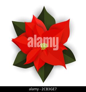 Fleur de poinsettia rouge de Noël isolée sur fond blanc. Illustration vectorielle Illustration de Vecteur