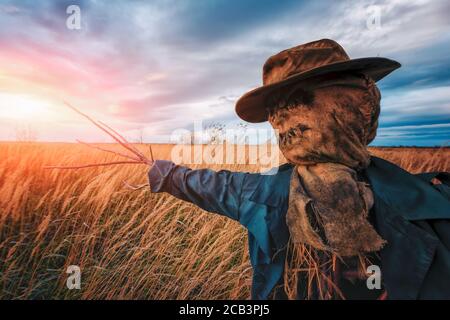 Un épouvantail dans un manteau sombre et un chapeau sale se tient seul dans un champ d'automne à l'heure du coucher du soleil. Arrière-plan de Halloween Banque D'Images