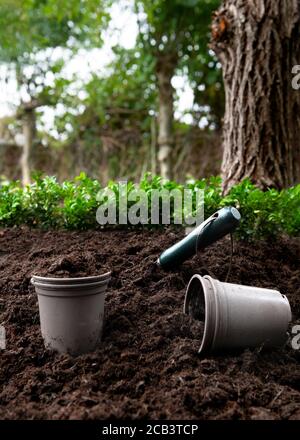 jardinage avec du compost d'empotage sur une petite tenue ou un aloment espace de copie pour le recouvrement de texte b arrière-plan rouge Banque D'Images