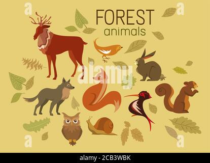 Ensemble de jolis animaux de la forêt stylisés et de feuilles d'automne, isolés sur fond solide Illustration de Vecteur