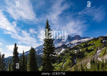 Les nuages de cirrus d'été au-dessus des prairies du Paradis en juillet dans le parc national du Mont Rainier, État de Washington, États-Unis Banque D'Images