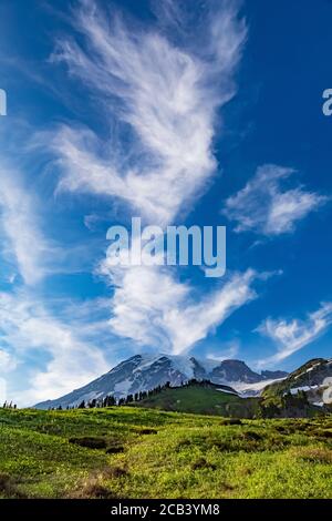 Les nuages de cirrus d'été au-dessus des prairies du Paradis en juillet dans le parc national du Mont Rainier, État de Washington, États-Unis Banque D'Images