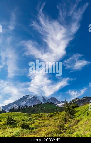 Les nuages de cirrus d'été au-dessus des prairies du Paradis en juillet dans le parc national du Mont Rainier, État de Washington, États-Unis Banque D'Images