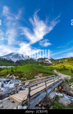 Les nuages de cirrus d'été au-dessus des prairies du Paradis en juillet dans le parc national du Mont Rainier, État de Washington, États-Unis Banque D'Images