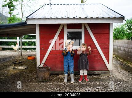 Portrait de petits enfants debout à la ferme, portant des œufs. Banque D'Images