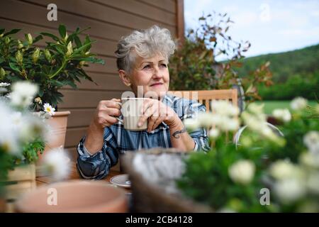 Femme âgée avec café assis sur la terrasse en été, au repos. Banque D'Images