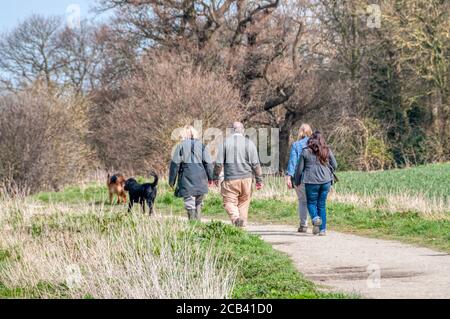 Personnes marchant avec des chiens dans la campagne. Banque D'Images