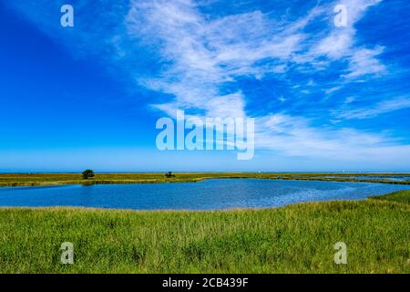 Petit lac intérieur à l'intérieur du parc national Fischland Darß Zingst Banque D'Images