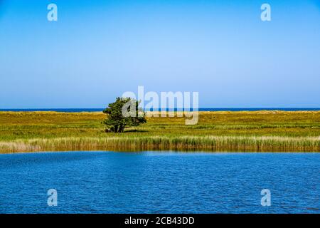 Petit lac intérieur à l'intérieur du parc national Fischland Darß Zingst Banque D'Images