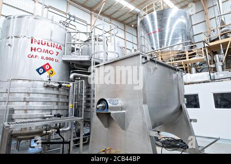 Cuves géantes contenant du sirop de maguey, faisant partie du système d'extraction à l'usine de distillation de l'IMAG où les usines d'agave bleu sont transformées en sirop d'agave biologique à Tepatitlan, État de Jalisco, Mexique. Le sirop d'agave est un substitut naturel de sucre à faible glycémie. Banque D'Images