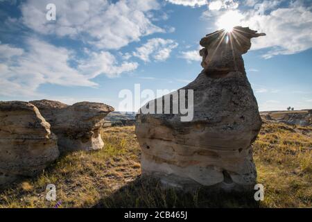 Des hoodoos en grès dans la vallée de la rivière Milk, écrivant dans le parc provincial Stone, Alberta, Canada Banque D'Images