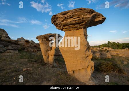 Des hoodoos en grès dans la vallée de la rivière Milk, écrivant dans le parc provincial Stone, Alberta, Canada Banque D'Images