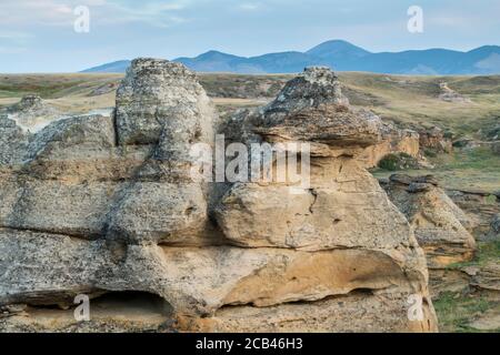 Gribouillages en grès au coucher du soleil, écriture dans le parc provincial Stone, Alberta, Canada Banque D'Images