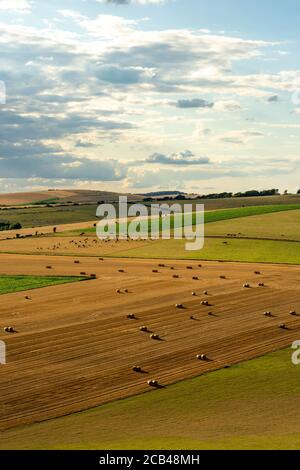 Le faible soleil de la soirée d'été illumine une scène rurale de l'agriculture dans le parc national de South Downs près de Patching, West Sussex, Royaume-Uni. Banque D'Images