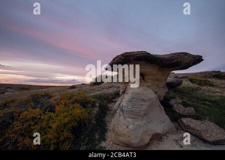 Gribouillages en grès au coucher du soleil, écriture dans le parc provincial Stone, Alberta, Canada Banque D'Images