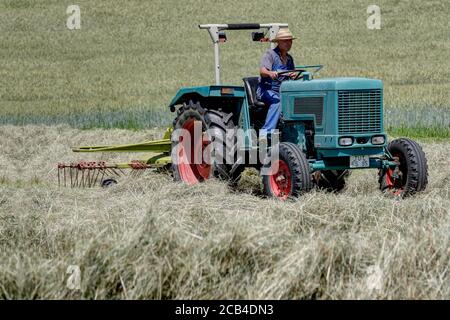 Trossingen, Allemagne, 25 juin 2020. Agriculteur biologique avec son vieux tracteur et râteau travaillant le foin. L'andain est nécessaire pour poursuivre le traitement du foin. Banque D'Images