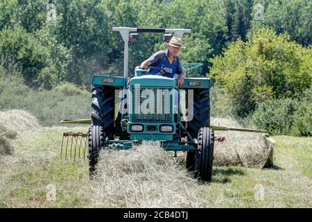 Trossingen, Allemagne, 25 juin 2020. Agriculteur biologique avec son vieux tracteur et râteau travaillant le foin. L'andain est nécessaire pour poursuivre le traitement du foin. Banque D'Images