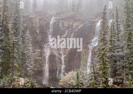 Neige fraîche en automne à Tangle Falls, parc national Jasper, Alberta, Canada Banque D'Images