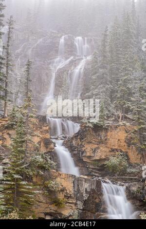 Neige fraîche en automne à Tangle Falls, parc national Jasper, Alberta, Canada Banque D'Images