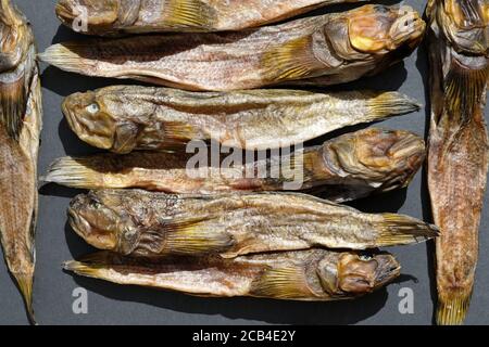 Des gobies séchées sur une vue de dessus de tableau noir. Poisson séché salé pour la bière. Des gobies séchées Banque D'Images