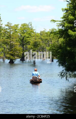 Homme pêche à partir d'un bateau sur un lac avec Cypruss arbres Banque D'Images