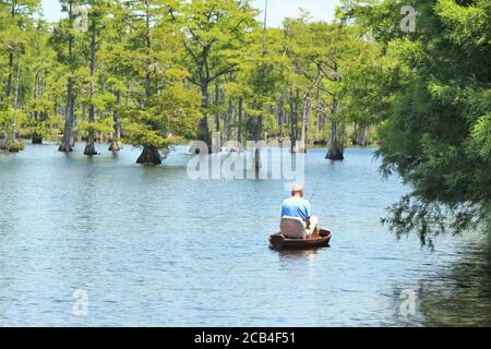 Homme pêche à partir d'un bateau sur un lac avec Cypruss arbres Banque D'Images