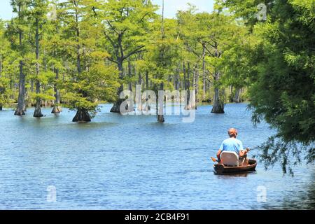 Homme pêche à partir d'un bateau sur un lac avec Cypruss arbres Banque D'Images