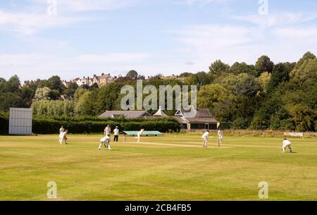 Jouer au cricket au club de cricket de Durham City, Co. Durham, Angleterre, Royaume-Uni Banque D'Images