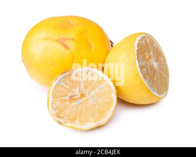 Citron gâté isolé sur fond blanc Banque D'Images