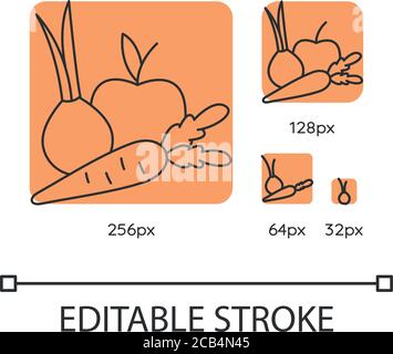 Ensemble d'icônes linéaires orange de fruits et légumes. Produits frais biologiques. Ingrédients de recettes sains. Ligne fine personnalisable vecteur 256, 128, 64 et 32 px il Illustration de Vecteur
