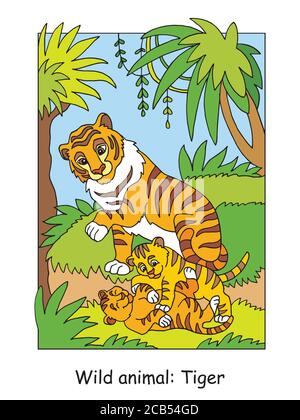 Pages de coloriage vectoriel avec famille de tigres mignons en forêt. Illustration colorée isolée par un dessin animé. Illustration de stock pour le design, le livre de coloriage, le prescho Illustration de Vecteur