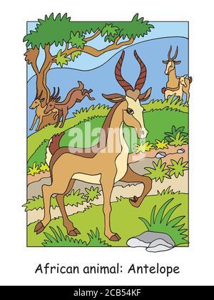 Pages à colorier vectorielles avec l'antilope mignon dans la région africaine. Illustration colorée isolée par un dessin animé. Illustration de stock pour livre de coloriage, design, presc Illustration de Vecteur