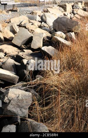 De grandes roches et des graminées marécageuses se trouvent sur le rivage de Southport, Fairfield, Connecticut. Banque D'Images