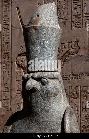 Une des statues en granit sculptées d'Horus le dieu faucon au pylône géant de 36 mètres de haut du Temple d'Horus à Edfu en Égypte. Banque D'Images