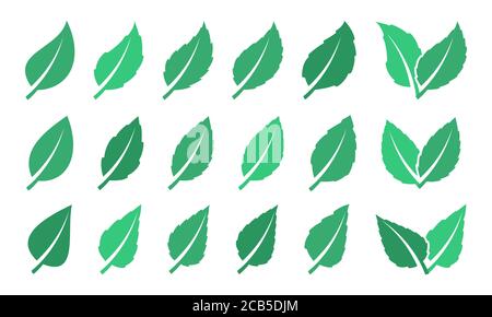 Jeu de feuilles vertes. Eco design Illustration de Vecteur