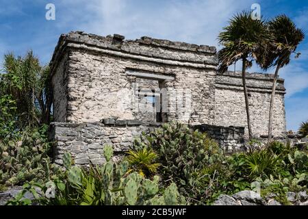 La Maison du Cénote dans les ruines de la ville maya de Tulum sur la côte de la mer des Caraïbes. Parc national de Tulum, Quintana Roo, Mexique. Je Banque D'Images