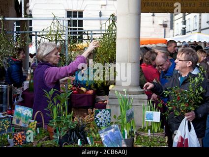 Un support de décrochage mains un tas de GUI à un Un acheteur de Noël sur un marché agricole Banque D'Images