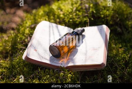 Bouteilles de teinture, assortiment d'herbes saines sèches, vieux livres, médicaments curatifs. Médecine à base de plantes. Banque D'Images