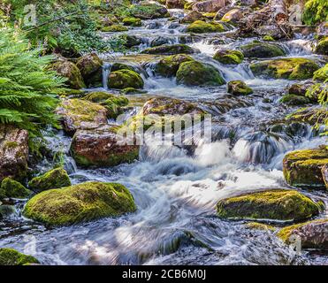 L'eau courante de la cascade de Njupeskär en Suède qui s'écrase entre les deux rochers mousseux au coucher du soleil Banque D'Images