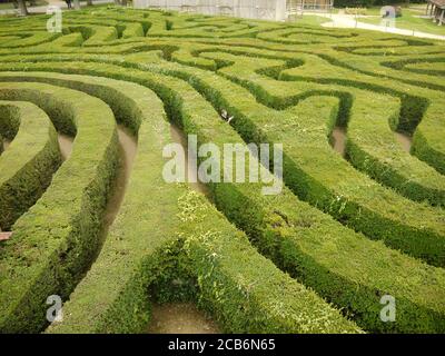 Haies Maze au parc safari de Longleat par le dessus Banque D'Images